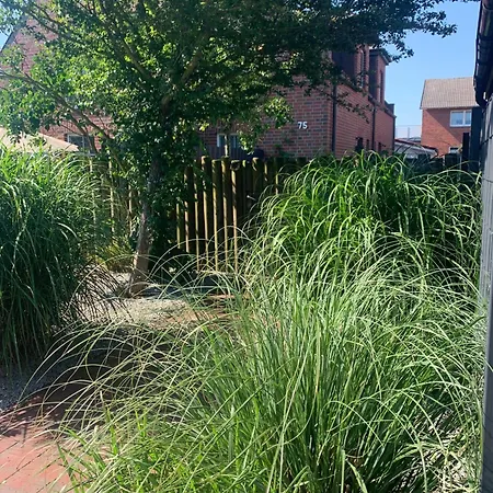 Suedstrandhus Urlaub Mit Hund 2 Unten *